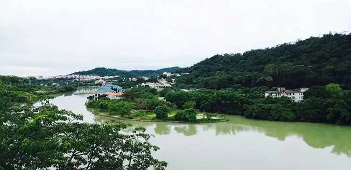腾龙源20周年2.webp.jpg 腾龙源20周年2.webp.jpg